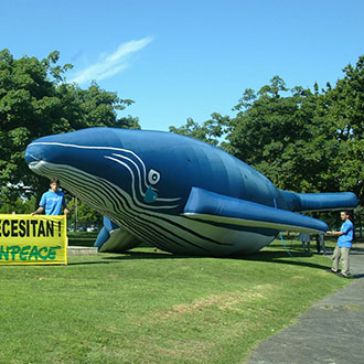 Ballena Inflable Greenpeace 18 mt
